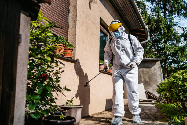 Best Pest Control Near Me in Toronto, OH