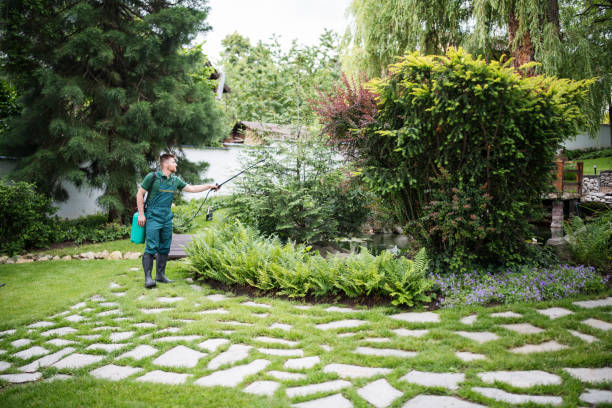 Best Emergency Pest Control  in Toronto, OH