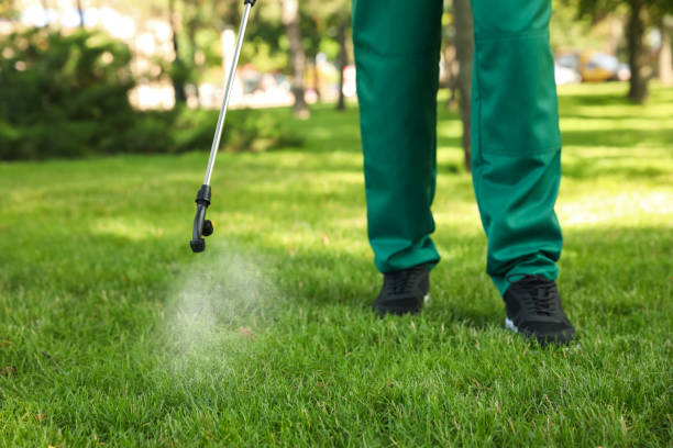Best Wasp Removal Services  in Toronto, OH