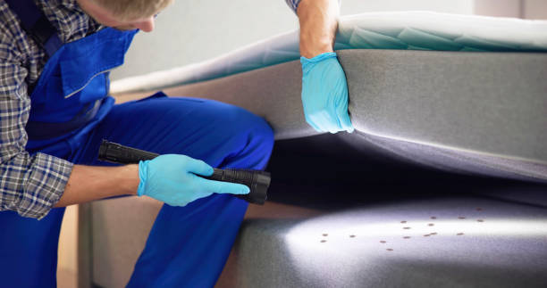 Best Mosquito Control Services  in Toronto, OH