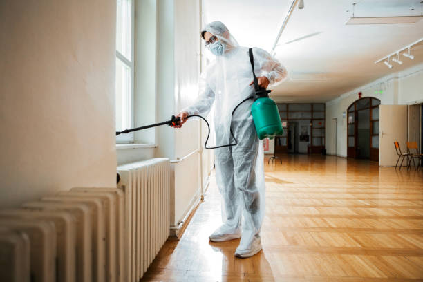 Best Affordable Pest Control Services  in Toronto, OH