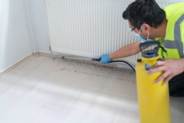 Best Bed Bug Extermination  in Toronto, OH