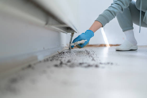 Best Commercial Pest Control Services  in Toronto, OH