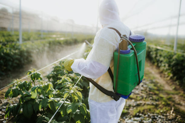 Best Pest Control for Businesses  in Toronto, OH